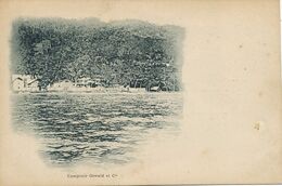 Comptoir Oswald Et Cie . Polynesie ??? Madagascar ??? Avant 1903 . Undivided Back - French Polynesia