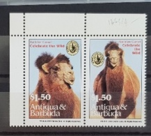 ANTIGUA BARBUDA,  Dromadaire, Chameau, Camel, Camelo, YVERT N° 1663/64 Neuf Sans Charnière. MNH - Other & Unclassified