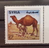 SYRIE Dromadaire, Chameau, Camel, Camelo, 1 Valeur 1998  Neuf Sans Charnière. MNH - Autres & Non Classés