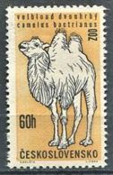 TCHECOSLOVAQUIE Dromadaire, Chameau, Camel, Camelo Yvert N° 1216  Neuve Sans Gomme - Otros & Sin Clasificación