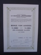 PAYS BAS - ROTERDAM 1939 - N.V. HOUTHANDEL EXOTOLANDA - TITRE DE EEN HONDRED GULDEN - Sonstige