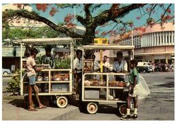 (L 20) Fiji - Suva - Sweet Meat Vendor - Marchands