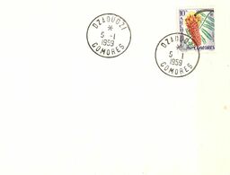 Comores 1959 - Enveloppe Non Adressée - Cachet Dzaoudzi Sur YT 16 Colvillea - Storia Postale