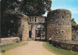 Delcampe - 85 - Les Essarts - Entrée Principale Du Vieux Château - Les Essarts