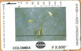 Colombia - CO-MT-51, Tamura, Dos Cartuchos Sobre Verde, Santiago Cardenas, Art, 5,500 $, 10.000ex, Used - Colombia