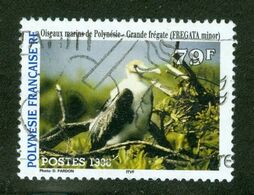 Bird / Oiseaux Grande Frégate; Polynésie Française / French Polynesia; Scott # 686; Usagé (3443) - Usati