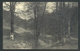 +++ CPA - MARTELANGE - Entrée De La Forêt - Nels // - Martelange