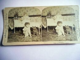 PHOTO STEREO INNOCENCE 1896 ENFANT JEUNE FILLE SON CHAT ET SA POUPEE STROHMEYER WYMAN NEW YORK 1896 - Fotos Estereoscópicas