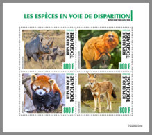 TOGO 2020 MNH Endangered Species Bedrohte Tiere Rhino Rhinoceros M/S - OFFICIAL ISSUE - DHQ2034 - Rhinoceros