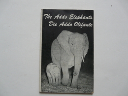 THE ADDO ELEPHANTS - DIE ADDO OLIFANTE - Afrique