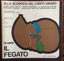 1973 ALLA SCOPERTA DEL CORPO UMANO Di Pietro Valdoni IO SONO IL FEGATO / Giunti Nardini Editore - Medecine, Biology, Chemistry