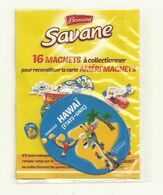 MAGNET SAVANE AMERI'MAGNETS HAWAI SOUS BLISTER FERME. - Otros & Sin Clasificación