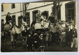 Carte Photo Certainement Turquie Plusieurs Personnages Sur Des Chameaux Lieu Précis à Identifier - Asia