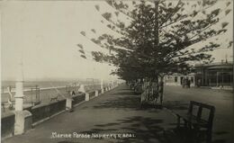 New Zealand / Photo Card - RPPC // Napier (Marine Parade) 19?? - New Zealand