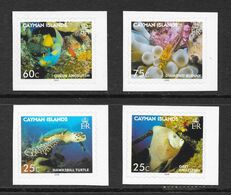 Cayman Islands 2006 MiNr. 1043 - 1046  Kaiman Marine Life Fishes Turtles 4v MNH**  4,60 € - Mundo Aquatico