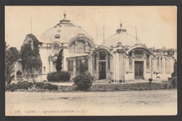 Egypt - 1915 - Very Rare - Vintage Post Card - Agricultural Exhibition - Cairo - 1915-1921 Protectorat Britannique