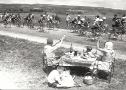 Cyclisme: Le Tour De France 1954 - Pique-nique Devant Le Peloton - Photo Bettman - Nouvelles Images - Ciclismo