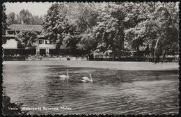 Netherland - Venlo - Park - Restaurant - Venlo