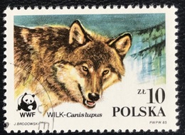 Polska - Poland - P2/48 - (°)used - 1985 - Michel Nr. 2977 - WWF - Wolf - Used Stamps