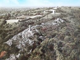 Carte Postale De Mouilleron-en-Pareds En Vendée - Mouilleron En Pareds