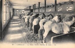 22-LAMBALLE- LE HARAS, ECURIE CHEVAUX DE TRAITS - Lamballe