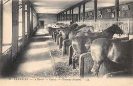 22-LAMBALLE- LE HARAS, ECURIE CHEVAUX POSTIERS - Lamballe