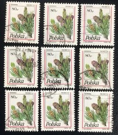 Polska - Poland - P2/49 - (°)used - 1995 - Michel Nr. 3531 - Pinus Mugo 9x - Collections