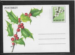 Thème Fleurs - Norvège - Entier Postal - TB - Sonstige & Ohne Zuordnung