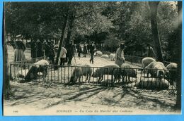 18 - Cher - Bourges - Un Coin Du Marchè Aux Cochons (N1497) - Bourges