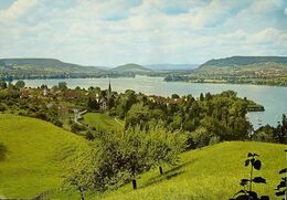 MAMMERN Am Untersee Blick Gegen Stein Am Rhein - Mammern