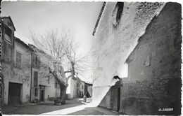 MONTAUROUX - L'Eglise Et Le Prieuré - Montauroux