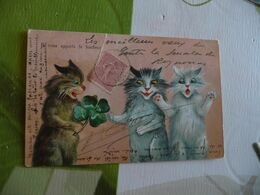 CPA Chat Cat  Humanisé 1905  Je Vous Apporte Le Bonheur - Katzen