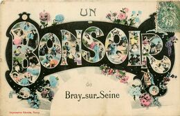 Bray Sur Seine * Un Bonsoir De La Commune - Bray Sur Seine