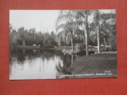 RPPC Jungle Gardens  Florida > Sarasota    Ref 4343 - Sarasota