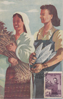 AGRICULTURE, COLLECTIVE FARMING, WHEAT, CM, MAXICARD, CARTES MAXIMUM, 1960, ROMANIA - Agriculture