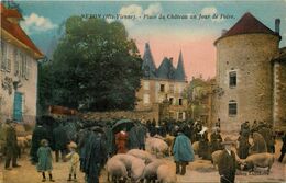 Nexon * Place Du Château Un Jour De Foire * Marché Aux Cochons - Sonstige & Ohne Zuordnung