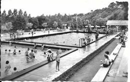Delcampe - CPA°-1960-53-MAYENNE-La PISCINE-Edit Gaby-TBE - Mayenne