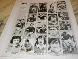 ANCIENNE PUBLICITE RUGBY EQUIPE DE GALLES 1976 - Rugby