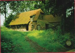 NEDERZWALM-HERMELGEM Zwalm Molen Moulin Van Der Lindensmolen Grote Kaart 1984 - Zwalm