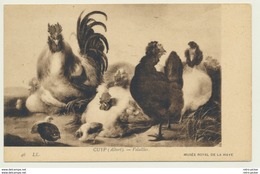 AK  Hühner Cuyp Volailles 1933 - Vogels