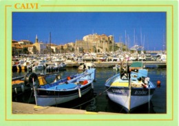 CALVI   //      LE PORT - Calvi