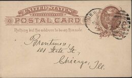 CP Entier Brun S/ Chamois 1ct Repiquage Steiger And Co CAD New York 26 1888 - ...-1900