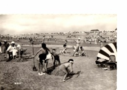 CAYEUX SUR MER      //   LA PLAGE - Cayeux Sur Mer