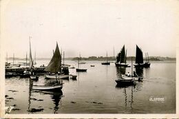 Ile Aux Moines * Les Bateaux De Pêche - Ile Aux Moines