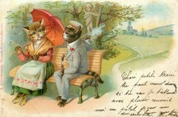 Chats Humanisés * CPA Illustrateur * Chat Cat Cats Kaze * élégante Et élégant * 1904 * Amoureux Sur Un Banc - Chats