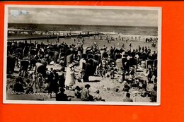 Delcampe - Strand, Scheveningen - Hollande - Scheveningen
