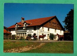 Suisse JU Jura Saignelegier La Theure Auberge De La Couronne - Saignelégier