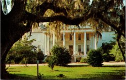 South Carolina Hampton Plantation Between Georgetown And Charleston - Charleston