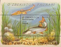 A) 2006, UZBEQUISTAN, LOCAL FISH, ASPIOLUCIUS ESOCINUS, MINISHEET - Oezbekistan