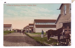 REGINA Sask Canada A View At Exhibition Grounds Horses - Regina